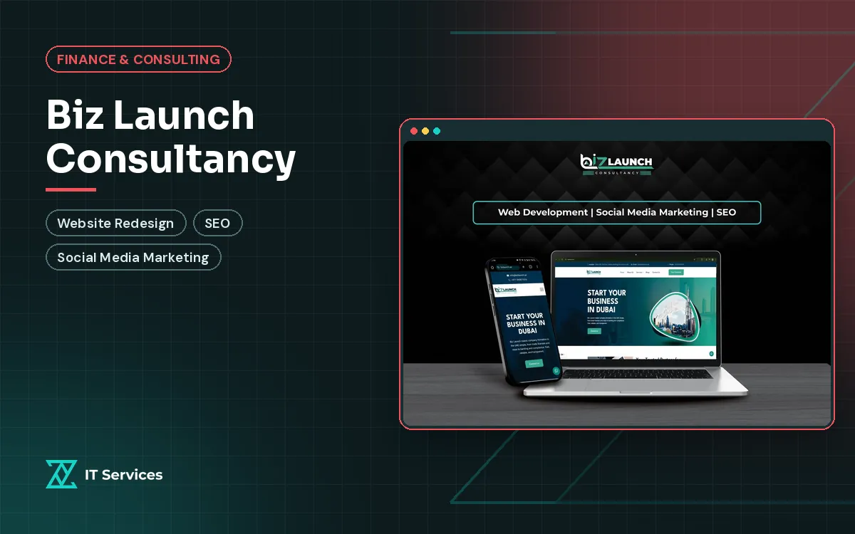 Biz Launch Consultancy project cover